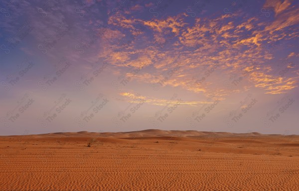 A shot of golden sand dunes in the Riyadh desert, Saudi Arabia, at sunset, showing a clear sky, the Empty Quarter, desert areas.