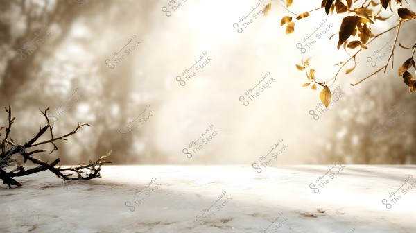 The image shows a marble surface illuminated by sunlight. Dry branches are displayed on the left side of the image, while golden leaves hang down from the top on the right. The background is blurred and resembles a softly lit natural scene.