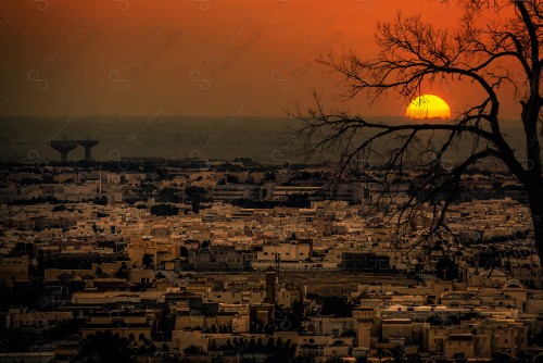 A shot showing a tree among the buildings and landmarks of the city of Riyadh, in front of it a group of residential houses, showing the orange cloudy sky at sunset.