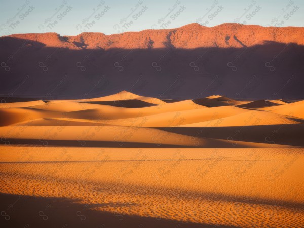 لقطة للكثبان الرملية الذهبية في الصحراء السعودية وتظهر السماء صافية  نهارًا ، الربع الخالي ، مناطق صحراوية، مصممة بواسطة الذكاء الاصطناعي.