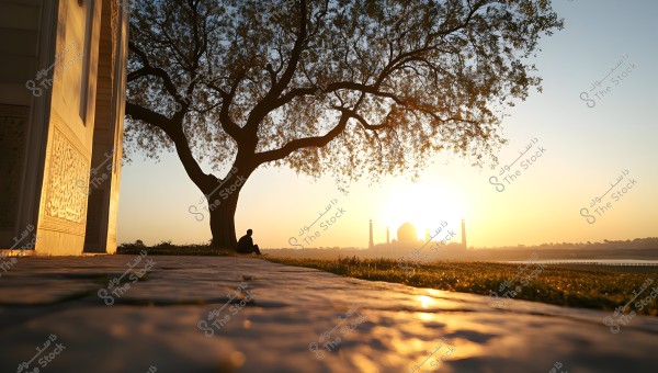 A scenic view featuring a large tree in the foreground with a person sitting underneath, gazing at the sunset. In the background, the silhouette of a well-known building with a large dome and minarets, possibly the Taj Mahal, suggests a location in India. The ground is illuminated by the golden sunlight.