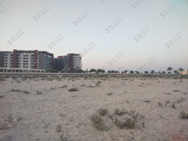 The image depicts a view of a natural sandy area with scattered small shrubs. In the background, there are several modern multi-story buildings in gray and brown colors. A row of palm trees and streetlights line the road behind the buildings. The sky is clear, painted in a light blue as the sun begins to set.