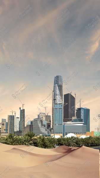 An image showing the skyline of a modern city with tall skyscrapers beneath a cloudy sky. In the foreground, there are sand dunes and palm trees, offering a contrast between nature and modern architecture. Multiple cranes indicate ongoing construction work.