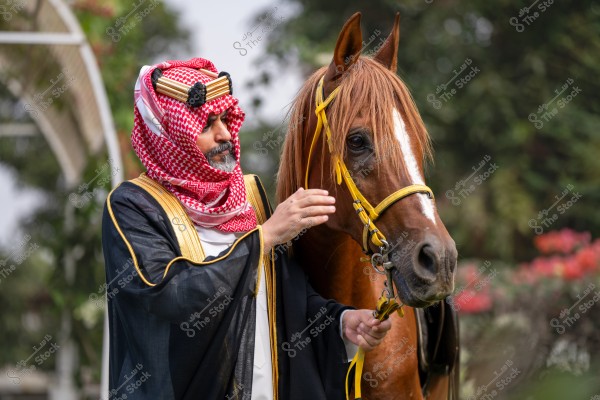 A man wearing traditional Gulf attire with a red and white shemagh and agal stands next to a brown horse in a green garden. The man reaches out to touch the horse\'s head, and the horse is shown with a yellow bridle.