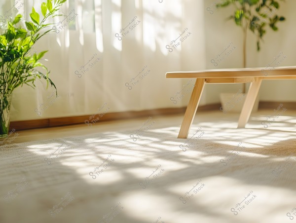 The image depicts a room bathed in warm sunlight. The room features a simple wooden table with angled legs, and part of a wooden chair. Green plants in glass pots decorate the room, placed on the floor next to white curtains that allow natural light to pass through, creating beautiful shadows on the floor.