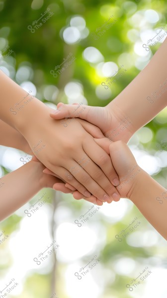 Four hands joined together over a blurry green background, symbolizing cooperation and solidarity. The focus on the hands with the blurred background suggests unity and teamwork.