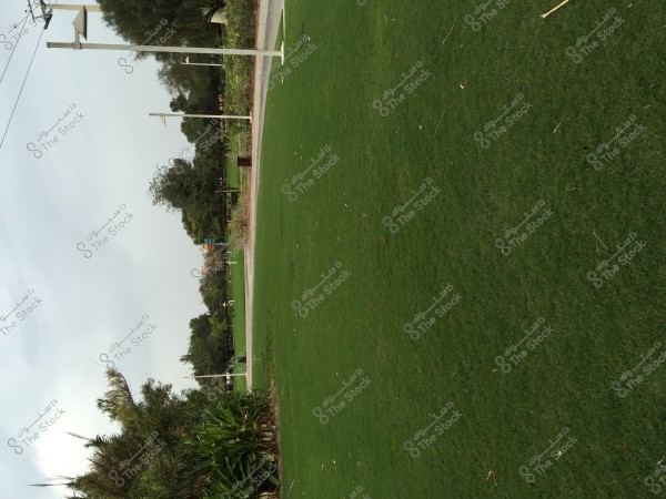 An image of an open green park featuring vast stretches of green grass with a few scattered trees in the background. Several lampposts line the paved path in the middle, and some shrubs and plants are visible on the left side of the image. The horizon is cloudy, indicating overcast weather.
