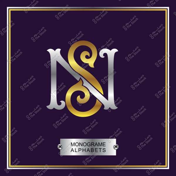 تصميم شعاري بحروف متداخلة N و S باللون الفضي والذهبي.