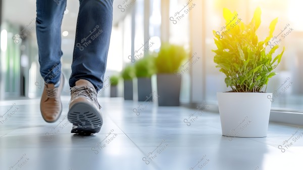 The image shows a person walking, wearing blue jeans and light brown shoes, on a shiny floor in an indoor hallway with potted plants. On the right, there is a large green plant in a white pot with sunlight streaming through the window.