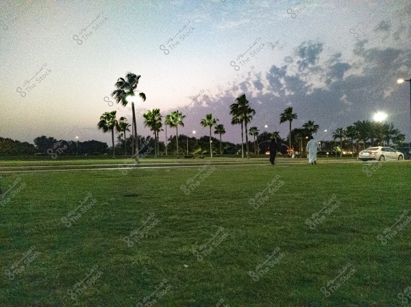 A sunset scene in a public park with people walking on the green grass. Palm trees and shrubs are in the background with street lights illuminated. The sky features a blend of pink and gray colors with some scattered clouds. A person in traditional clothing appears, with a white car parked on the road behind them.