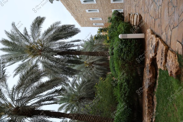 An image of a natural landscape featuring tall palm trees under a clear sky. On the right side, there is a stone building with white windows, and a green area with shrubs and yellow flowers next to a stone-paved pathway.
