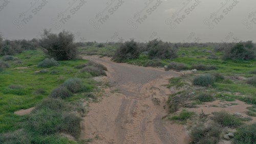 لقطة جمالية لطبيعة روضة التنهات بالرياض اثناء الغروب بالمملكة العربية السعودية ، أماكن سياحية في السعودية، السماء تبدوا غائمة نهارًا.