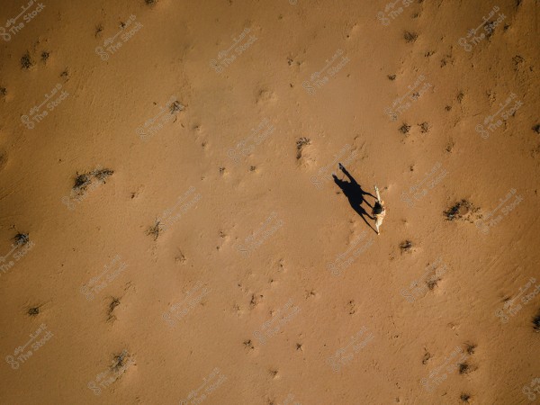 An aerial view of a desert landscape with the shadow of a rider on a horse. The ground is covered with sand and scattered patches of vegetation.