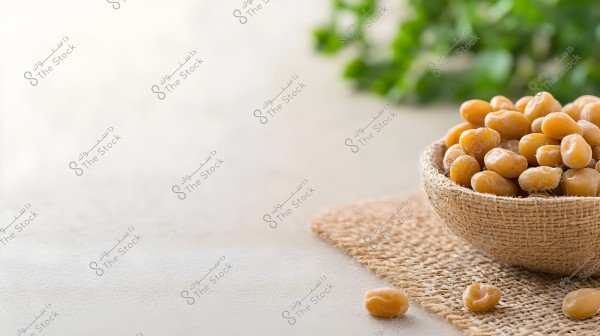 Image showing a fabric bowl containing a quantity of roasted chickpeas on a neutral background. The bowl is placed on a burlap surface, with slightly blurred green plants in the background.