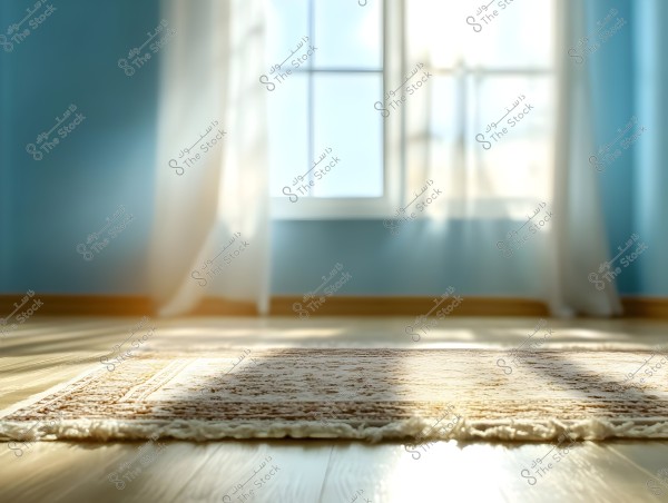 A sunlit room with a large window and sheer white curtains on a blue wall. The image shows a white rug with brown patterns placed on a wooden floor illuminated by sunlight.