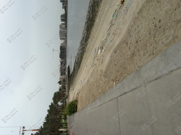 A sandy beach stretches along the sea, flanked by tall buildings and palm trees lining the pathway. The beach features remnants of seaweed and some litter. The weather is overcast with gray skies above.