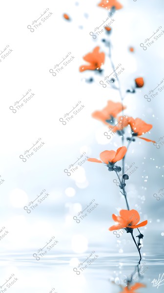 Image of orange flowers blooming on a slender stem extending vertically from the calm water surface. The flowers are beautifully reflected on the slightly rippled water, with a strong focus on the fine details of the delicate petals. The background is awash with soft luminous blue tones, imparting a sense of tranquility and serenity.