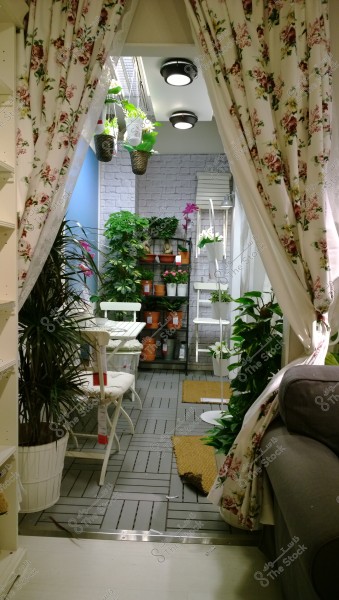 An image of an interior space decorated with floral-patterned curtains, opened to reveal a room with a gray wooden floor and circular ceiling lights. There are hanging plants and shelves filled with green and flowering plants, alongside a small white table and chairs.