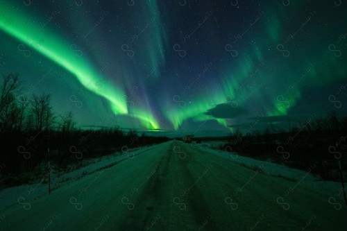 The aurora borealis glow in the arctic sky at night, an unpaved road passes through the woods and green aurora is visible in the sky