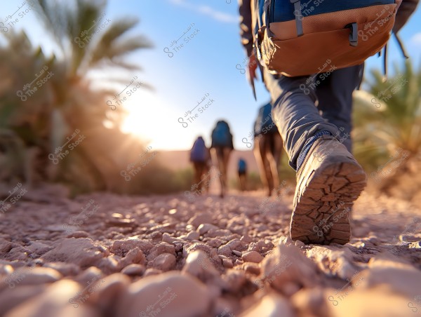 A group of people hiking on a rocky trail in a desert area. In the foreground, there\'s a hiking shoe suited for rough terrain, and the individuals are carrying large backpacks. Desert plants fill the background, with the sun casting a beautiful sunset glow over the scene.