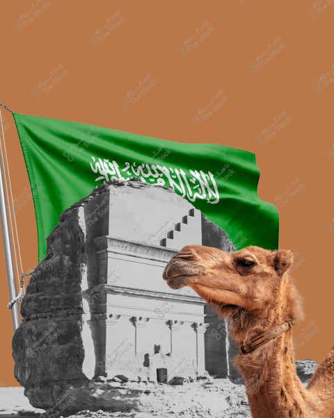The image depicts the Qasr Al-Farid site in AlUla, Saudi Arabia, in black and white, with a camel prominently displayed in its natural color in the foreground. In the background, the green Saudi flag is clearly visible, waving in the sky, attached to a pole on the sandy ground.