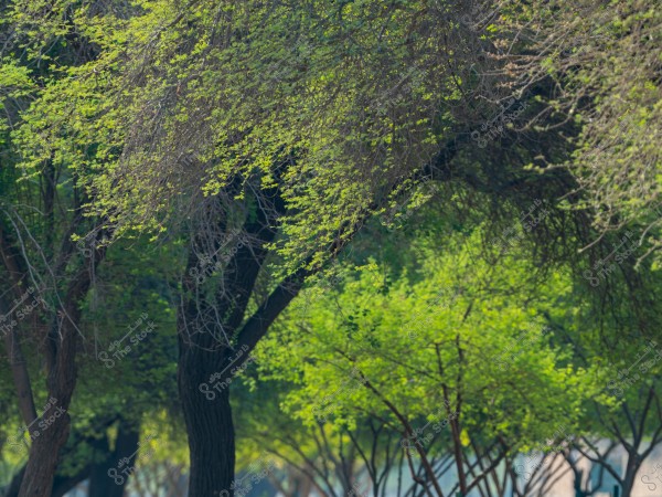 صور سد حنيفة في مدينة الرياض وسماء صافية