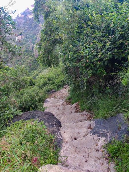 The image shows a narrow stone path cutting through a slope covered with dense green vegetation in a mountainous area. The surrounding trees and shrubs entwine around the path, indicating a serene rural atmosphere. In the background, some distant buildings are visible, blending into the mountainous terrain.