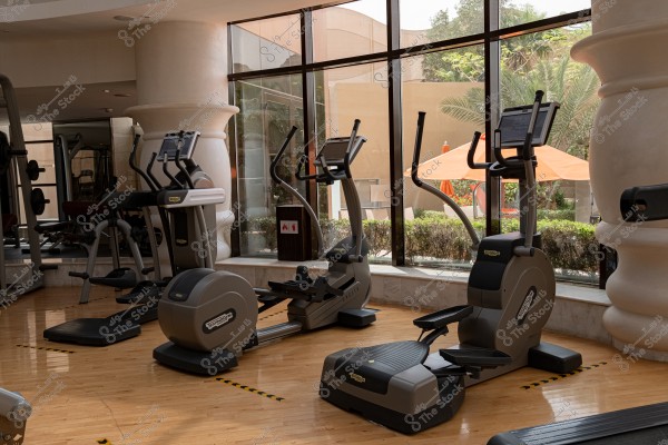 The image shows the interior of a gym containing various exercise equipment like treadmills and rowing machines, with large windows overlooking an outdoor planted space. The floor is wooden, and there is natural lighting from the outside.