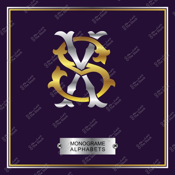الأحرف المتداخلة X و S بتصميم ذهبي وفضي على خلفية داكنة مع إطار بألوان ذهبية.