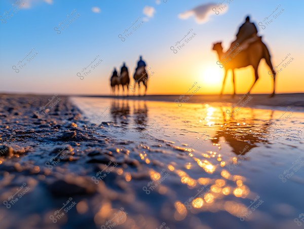 A sunset scene in the desert showing three camels walking on the wet sand in the distance. The golden sunlight reflects on the water covering the sand, giving the scene a glowing and tranquil appearance. The sky has a few scattered clouds illuminated in shades of red and orange.