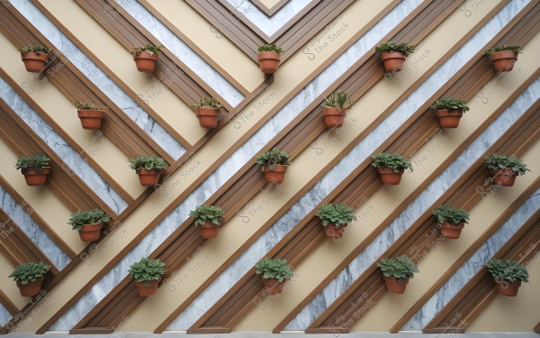 Decorative design of a wall adorned with plant pots arranged diagonally on parallel wooden lines. The background has a marble effect and a beige color, and the plants in the pots are green and lush, adding a natural and aesthetic touch to the scene.