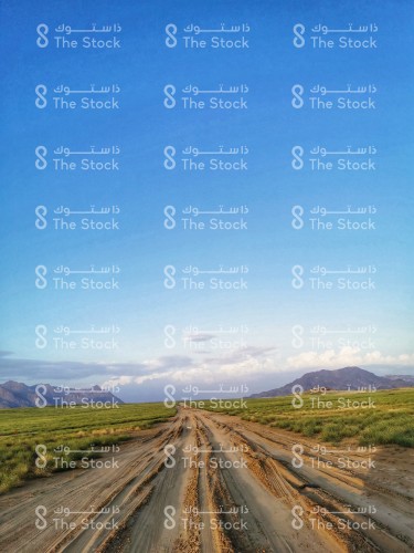 A muddy road in the middle of green agricultural areas