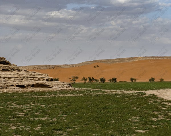 لقطة بالهاتف لسلسة جبال طويق في منطقة الرياض وتظهر السماء غائمة ، اشجار وصخور، الطبيعة بالسعودية.