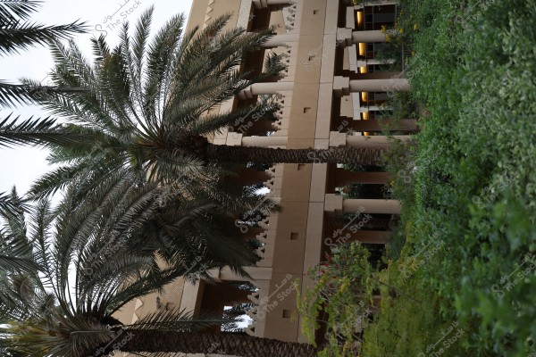 The image shows tall palm trees next to a modern building designed with square columns and intricate architectural details. The building is surrounded by dense green spaces with various plants and trees, creating a natural and refreshing atmosphere. The sky in the background appears clear, reflecting a calm and sunny environment.