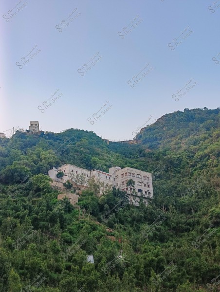 مبنى متعدد الطوابق محاط بالنباتات الخضراء على سفح جبل. السماء زرقاء صافية في الخلفية, والمكان يبدو هادئاً ومعزولاً. النباتات تغطي معظم الجبل وتحيط بالمبنى من محافظة فيفاء بمنطقة جازان جنوب المملكة العربية السعودية .