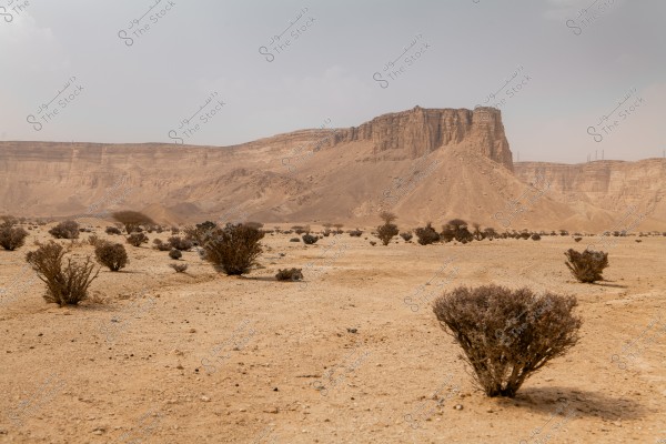 The image shows a natural desert landscape with scattered small bushes. In the background, there is a towering light brown rocky mountain, reflecting the arid desert terrain. The sky is slightly cloudy, casting soft shadows on the ground.