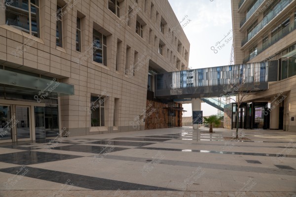 Image of a walkway between two modern buildings with contemporary architecture. The building on the left features squared walls and rectangular windows, while a glass bridge connects the two buildings. The ground is covered with matte gray tiles with a pattern of black lines. Some small trees and plants are planted on the sides.