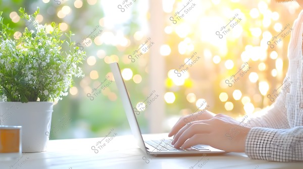 A person sitting at a desk typing on a laptop. Next to them on the desk is a plant in a white pot. The lighting in the background is bright, creating glowing bokeh effects. The person is wearing a checkered shirt.