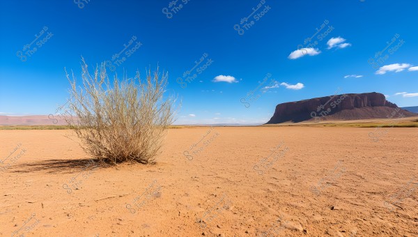 An image depicting a vast desert under a clear blue sky with a few scattered clouds. There is a dry bush on the left, and a large rocky mesa in the background, creating a wide desert landscape.