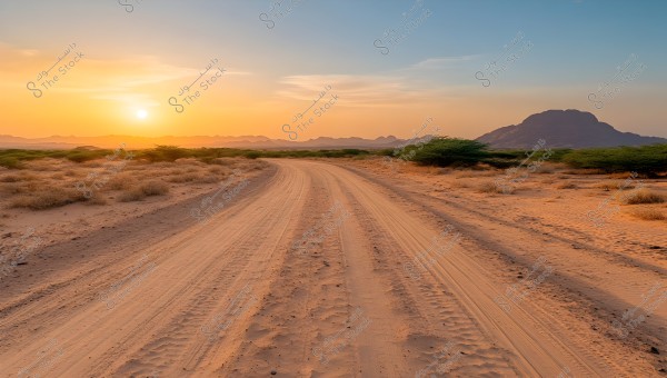 An image of a desert road stretching into the horizon with the glowing sun setting in the western sky. On both sides are grasses and nearby shrubs, and mountains appear in the background under an open sky with warm orange and blue hues at sunset.