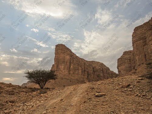 لقطة لجبال طويق - محمية الوعول، سلسلة من الجبال الصخرية.