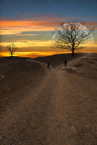 A shot showing two men in one of the heights of the Tuwaiq Mountains, and the moon appears behind the tree at sunset.