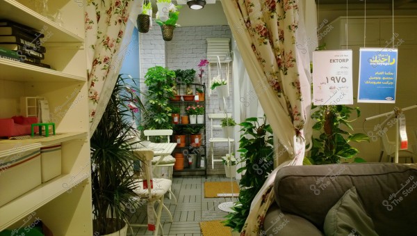 An image showing part of an interior room featuring green plants and neatly arranged furnishings. There are floral-patterned curtains, shelves holding books and decorative items. In the center, there is a white table with two chairs and various plants in pots. The image also displays promotional signs with pricing information.