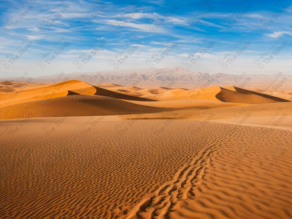 A shot of the golden sand dunes in the Saudi desert and the sky appears clear during the day, the Empty Quarter, desert areas, designed by Ai.