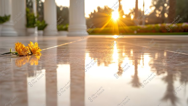 Image of two yellow flowers lying on a shiny marble floor, reflecting sunlight in the background. Some large white columns and green plants are visible, with a sunset on the horizon adding a warm and tranquil atmosphere to the scene.
