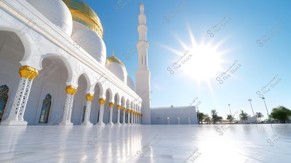 Image of a large mosque featuring white and gold domes, with a tall minaret reaching into the clear blue sky. The aligned columns with golden decorations stand in front of the mosque. The expansive courtyard, paved in white, is bathed in bright sunlight. A group of trees and plants are visible in the background.