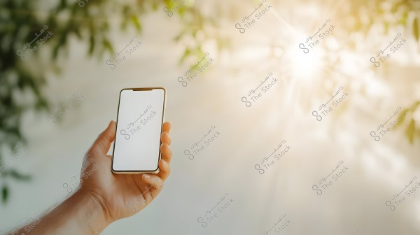 An image showing a human hand holding a smartphone with a blank white screen in a sunny outdoor setting. The background includes bright sunlight and blurred green foliage, giving a sense of calmness and tranquility.