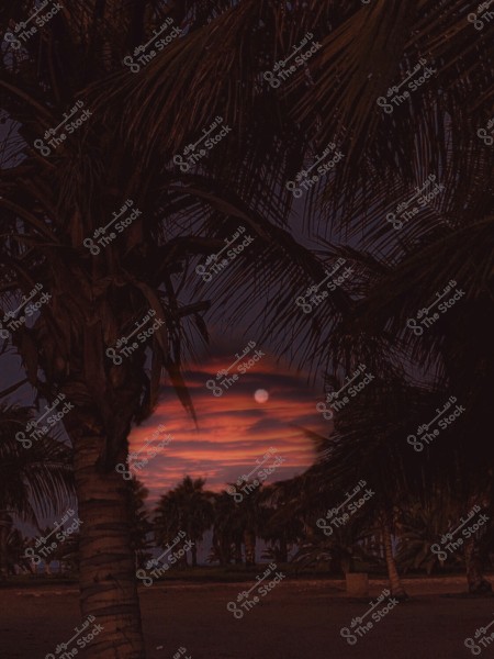 تمت اضافة الوان الغروب على الصورة