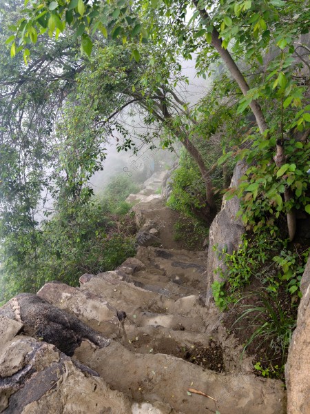 A narrow mountain path made of large stones, surrounded by dense green trees. Fog envelops part of the background, adding an atmosphere of mystery to the landscape. The stone steps are uneven and lined with plants and small rocks.