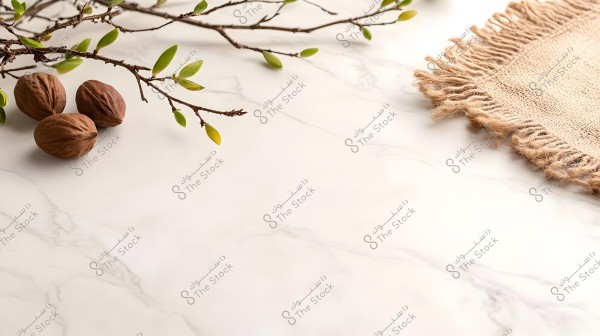 Image of a light marble surface with three brown walnuts on the left side. Thin branches with bright green leaves extend across the top of the image. There is also a beige burlap cloth with fringed edges on the right side.